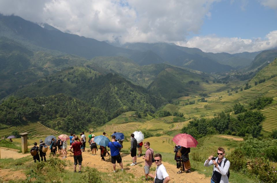 2-Day Sa Pa Ethnic Homestay Tour & Trek with Limousine Bus - Day 2: breakfast, rice paddies, bamboo forest, and Giang Ta Chai