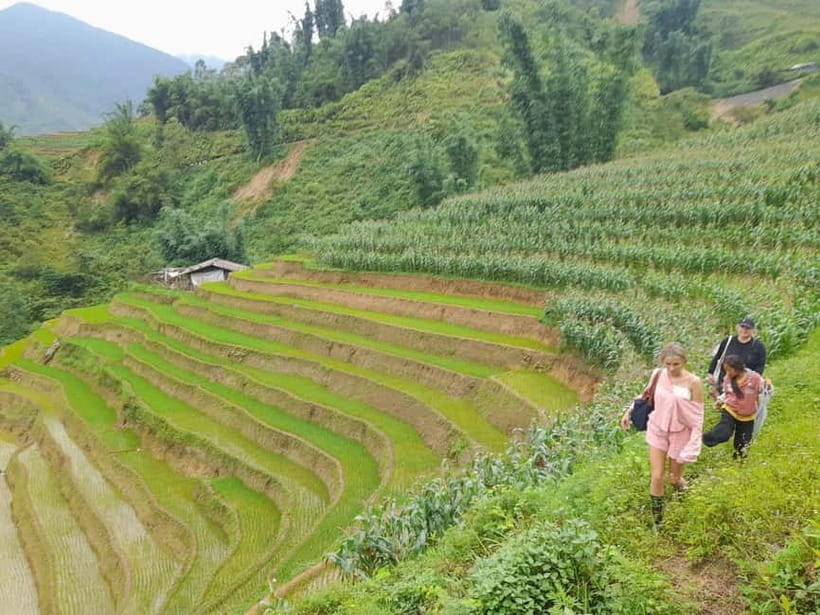 2-Day Sa Pa Ethnic Homestay Tour & Trek with Limousine Bus - Back to Sapa, shower, lunch, then the ride to Hanoi