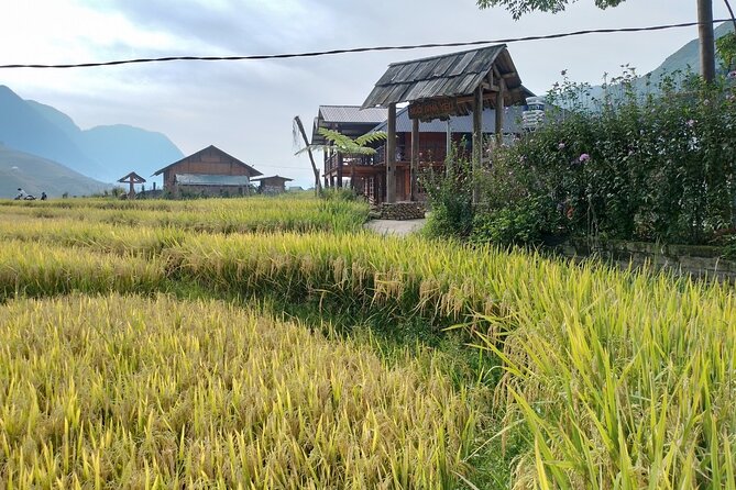 2-Day Sapa Guided Tour Slipping in Homestay From Hanoi - Hanoi pickup and the ride to Sapa: expect early starts