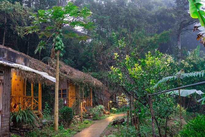 3-Day Trekking Adventure of Sapa from Hanoi - Stay Ta Van Village - Day 1: Y Linh Ho to Ta Van via rice terraces and Muong Hoa paths