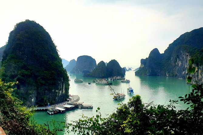 Best seller Halong bay 6 hours cruise - Food on the cruise: What you can expect and how to plan for it