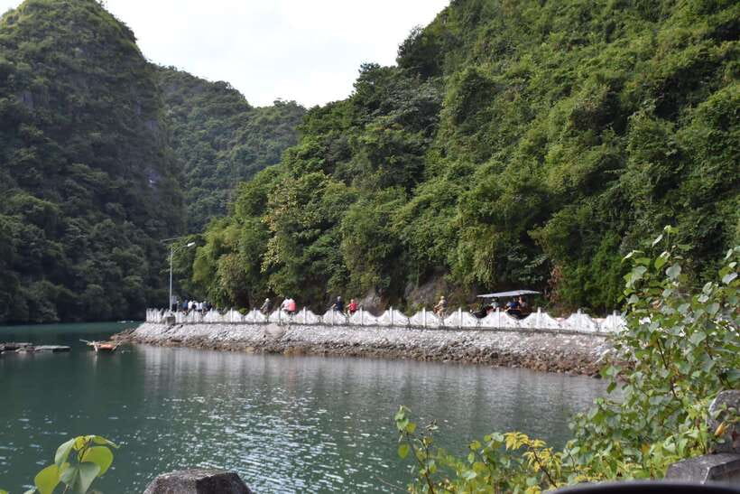 Cat Ba: Lan Ha, HaLong bay full day- biking, kayaking, lunch - Lunch on board: Vietnamese seafood and vegetarian options
