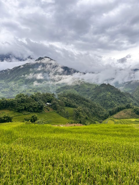 Explore Sapa by TrekkingAdventures, Mountain,Rice fields - Key points before you go
