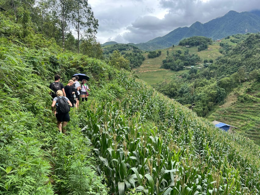 Explore Sapa by TrekkingAdventures, Mountain,Rice fields - Why this Sapa trek feels more real than most tours