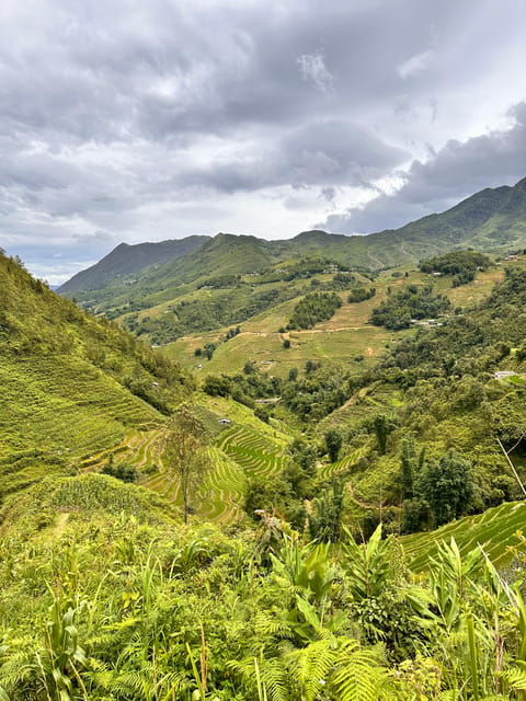 Explore Sapa by TrekkingAdventures, Mountain,Rice fields - House visits and cultural context you can actually use