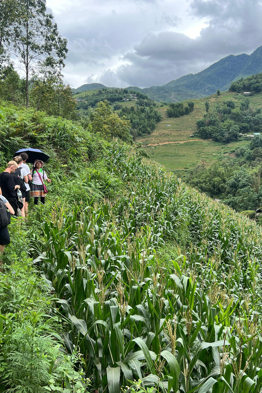 Explore Sapa by TrekkingAdventures, Mountain,Rice fields - The walk to Ta Van: when the valley opens up again
