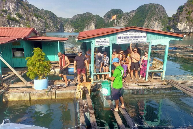 From Ha Noi/Cat Ba: Full-Day Cruise to Lan Ha bay - Ha Long Bay - Morning start in Cat Ba: Beo Pier and a day that actually has rhythm