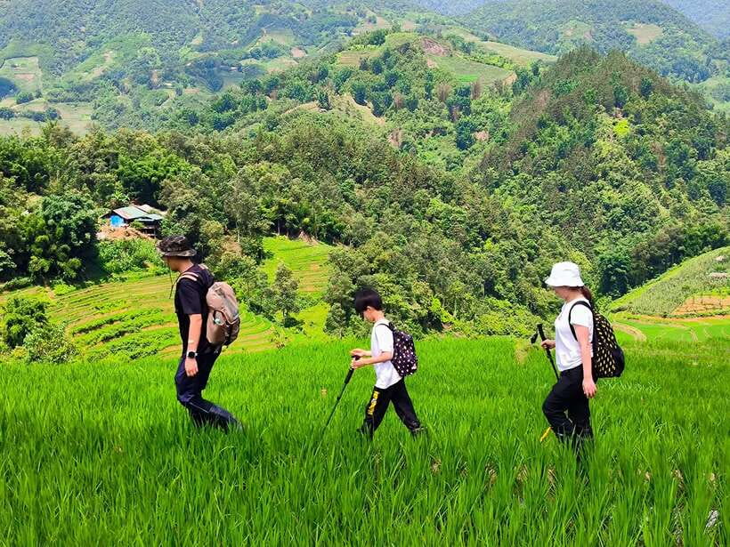 From Hanoi: 2-Day Sapa Trek Tour - Luxury Limousine Transfer - Should you book this 2-Day Sapa Luxury Limousine Trek?