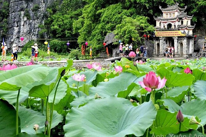 From Hanoi: Hoa Lu, Tam Coc, and Mua Cave Scenic Day Trip - Hoa Lu Temples: Walking Vietnam’s Ancient Capital