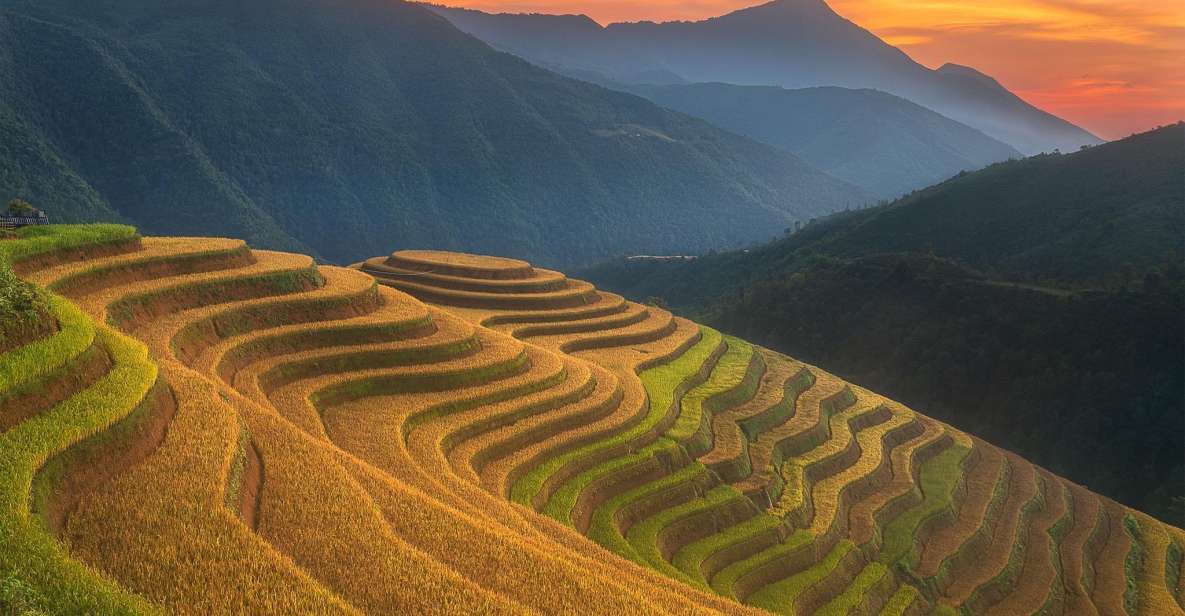 From Sapa: 1-Day Guided Trek to Lao Chai & Ta Van with Lunch - Key Highlights You’ll Feel in Real Time