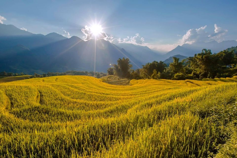 From Sapa: 1-Day Guided Trek to Lao Chai & Ta Van with Lunch - Who This Trek Fits Best (and Who Should Skip It)