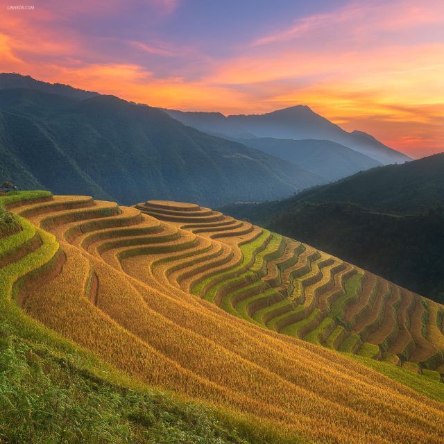 From Sapa: 1-Day Guided Trek to Lao Chai & Ta Van with Lunch - Following the Muong Hoa–Y Linh Ho Stream Through Rice Terraces