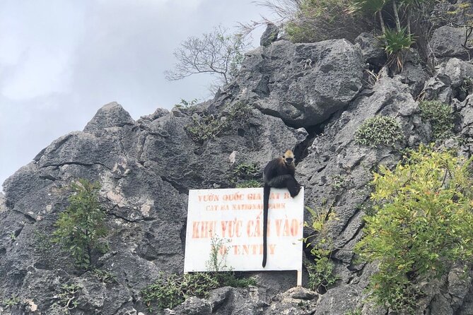 Full day trip to Lan Ha-Ha Long Bay from Cat Ba, avoid the crowds - Why this Lan Ha and Ha Long Bay day cruise feels calmer