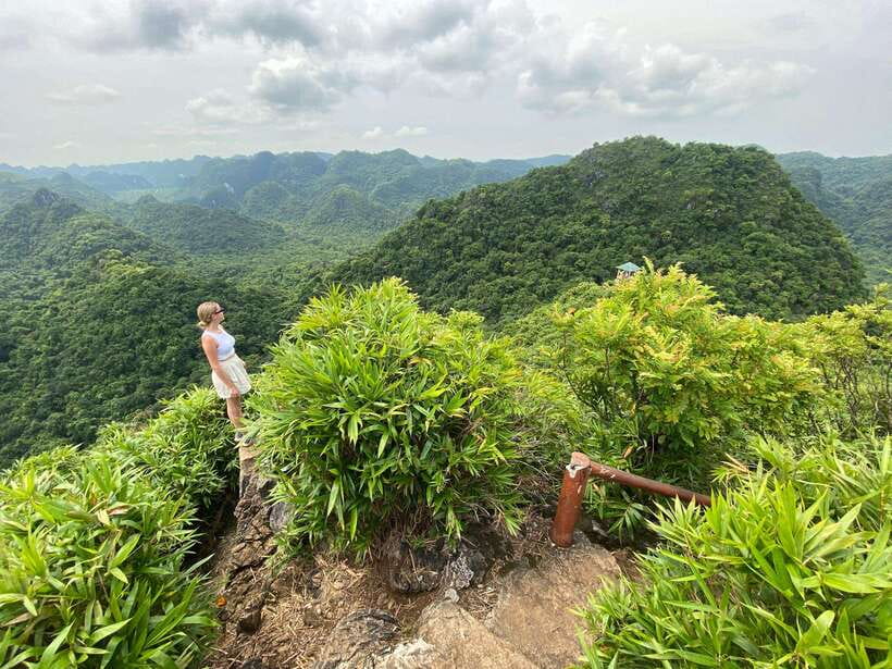 Half Day Hiking to Cat Ba National Park with a Guide - Ngu Lam peak hike (220 meters): the view math and the reality