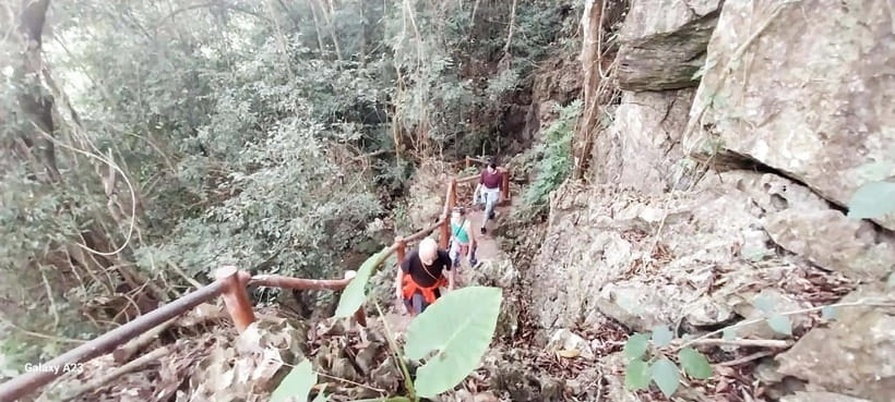 Half Day Hiking to Cat Ba National Park with a Guide - Guide style matters: why Tri, Chi, and others make the day smoother