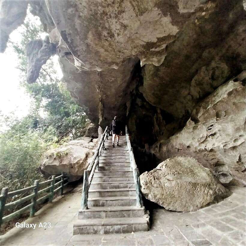 Half Day Hiking to Cat Ba National Park with a Guide - Price and value at about $22: what you’re really paying for