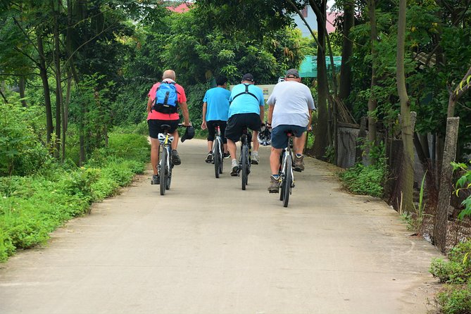 Hanoi Bicycle Tours: Half Day Bicycle Tours Hanoi Countryside - Co Loa Citadel: History Stop Meets Wet Market Fruit and Lotus-Lake Drinks