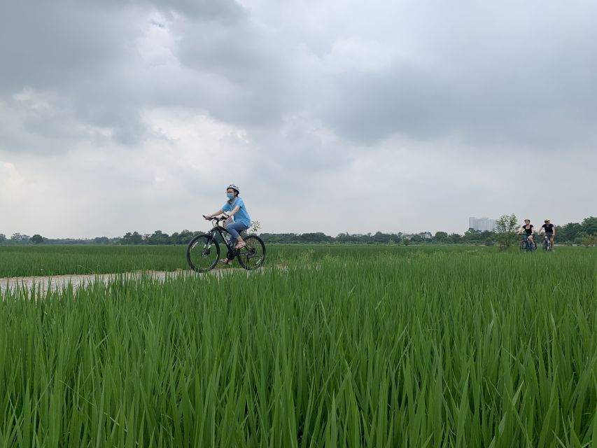 Hanoi: Bike Tour Through Hidden Gems and Banana Island - Banana Island on West Lake: the quiet contrast that makes the ride feel real