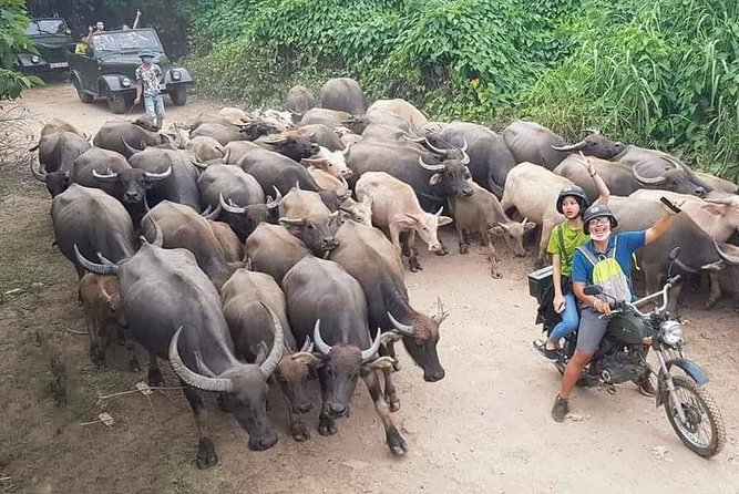 Hanoi Countryside Motorbike Tour: Red River Culture & Daily Life - Key things that make this tour worth your time