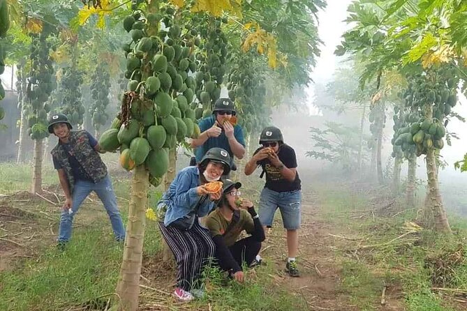 Hanoi Countryside Motorbike Tour: Red River Culture & Daily Life - Co Loa Ancient Citadel: Vietnam’s fortified story in 90 minutes