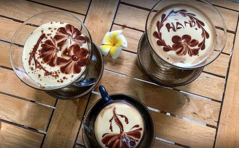 Hanoi: Guided Food Tour with Train Street Visit - Who Should Book This (and Who Should Skip It)