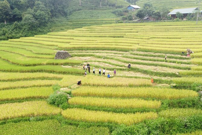 Hanoi - Sapa 2 Days 1 Night Overnight At Local Homestay - Sapa free time on Day 2: stone church and the market