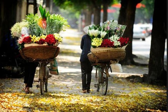 Hanoi street food tour (small group) - Lunch vs Dinner Departures: When the Old Quarter Feels Right