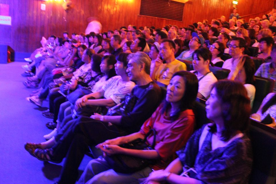 Hanoi: Water Puppet Show Tickets - Theater rules that affect comfort (and what to avoid)