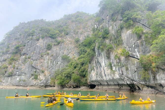 Lan Ha Bay day tour from Cat Ba, Hanoi - Serenity Boutique Cruise - Lunch at Sea: Fresh Seafood + Vietnamese Comfort Food