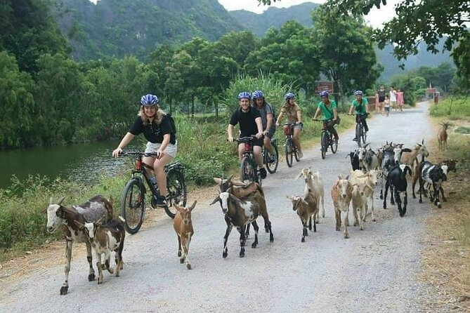 Luxury small Group Hoa Lu - Tam Coc - Mua Cave Max 6 - 8 pax/tour - Tam Coc boat ride: shared sampan boats and slower beauty