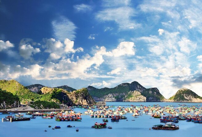 Mon Chéri Cruises 5 star: Amazing 3 days exploring Halong & Cat Ba island - Boarding Mon Chéri: the “5-star yacht” parts that actually help