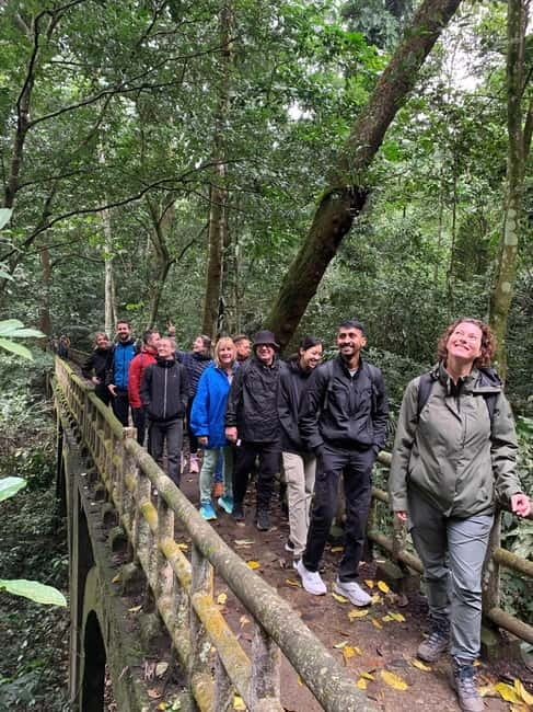 Ninh Binh: Cuc Phuong Jungle Hike & Wildlife Day Trip - The Cay Cho tree: the day’s quiet wow moment