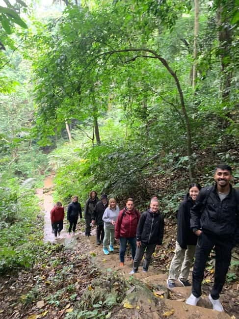 Ninh Binh: Cuc Phuong Jungle Hike & Wildlife Day Trip - Optional Prehistoric Cave: stairs, bats, and choosing your energy