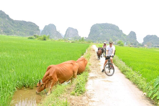 Ninh Binh Full-Day Small Group of 9 Guided Tour from Hanoi - The Small-Group Advantage: Faster, Friendlier, More Flexible