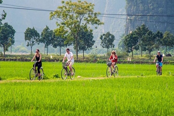 Ninh Binh Full-Day Trip to Trang An Mua Cave Hoa Lu Buffet Lunch - Price and What You Actually Get for $52