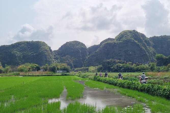 Ninh Binh HIGHTLIGHT & HIDDEN GEM Tour From Hanoi: Skip-The-Line - Thai Vi countryside lunch and scooter loop: real village rhythm