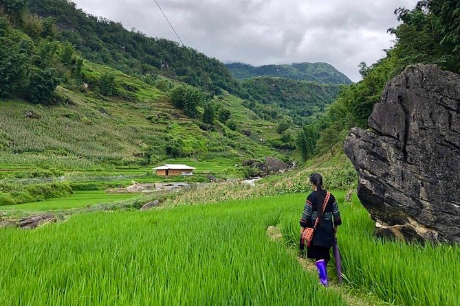 Number one top rated ethical cultural trekking and homestay by ETHOS - Why this 2-day Sapa trek feels more human than a checklist