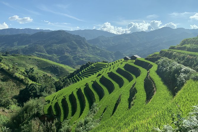 Number one top rated ethical cultural trekking and homestay by ETHOS - Starting point in Sapa: timing and what to expect
