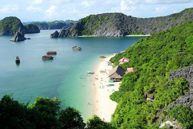Orchid Cruises Halong Bay 2Day/1Night on 5 Star - Day 2 at Dawn: Tai Chi, Light Breakfast, and Morning Scenery