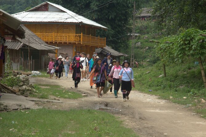 Sa Pa Full Day Trekking Tour - Guides Make or Break It on Sapa Trails