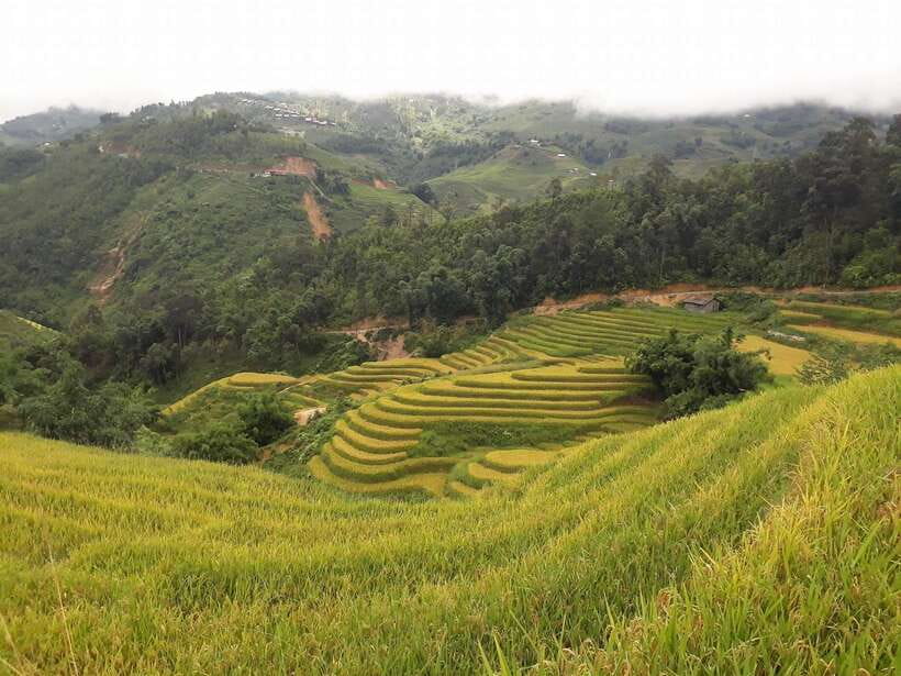 Sa Pa: Muong Hoa Valley Trek and Local Ethnic Villages - The route: rice terraces, Lao Chai, and Ta Van Giay
