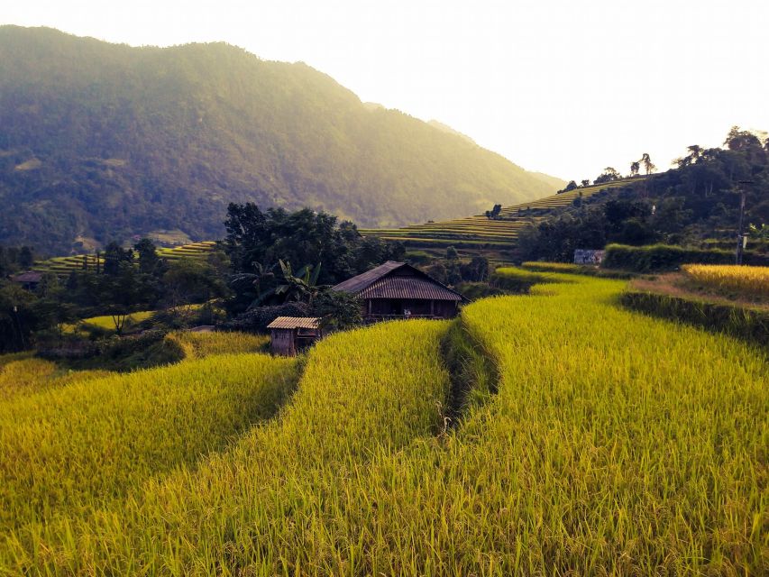 Sa Pa: Muong Hoa Valley Trek and Local Ethnic Villages - River crossings and rock carvings: the stops that make the day memorable