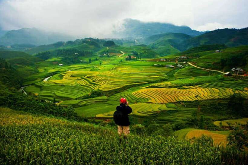 Sa Pa: Muong Hoa Valley Trek and Local Ethnic Villages - Bamboo forest to Giang Ta Chai Red Dao village