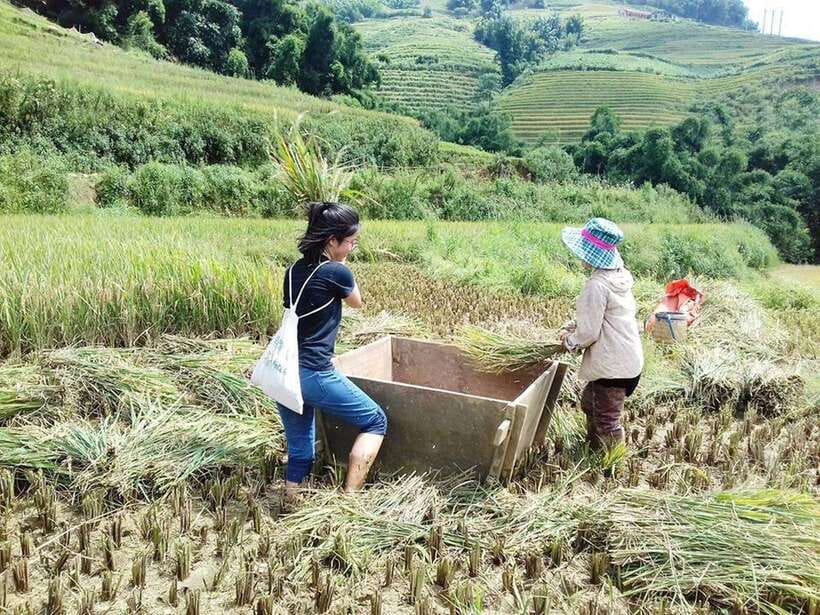 Sa Pa: Muong Hoa Valley Trek and Local Ethnic Villages - Pickup, timing, and how the 6 hours are paced in real life