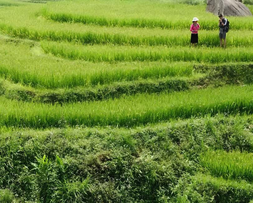 Sapa 1 Day Long Trek: Trek to Hau Thao and Sa Seng Villages - Lunch at a family-run restaurant: the best kind of refuel