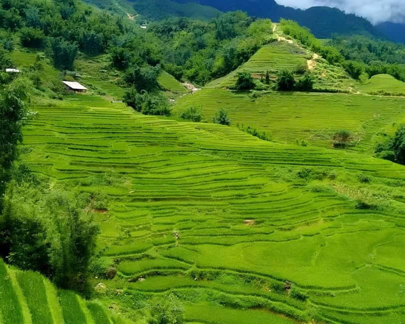 Sapa 1 Day Long Trek: Trek to Hau Thao and Sa Seng Villages - How to choose this trek: who it fits (and who should skip)