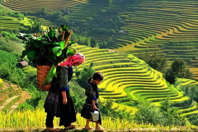 Sapa 2 Days 1 Night From Hanoi - Overnight in Hotel - Day 1 Overnight: Sleep in Sapa, Not Hanoi