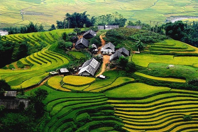 Sapa 2 Days 1 Night From Hanoi - Overnight in Hotel - Ta Van Village Trek: Rice Terraces and Village Paths