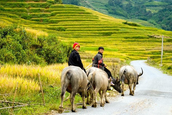 Sapa 3 Days 2 Nights Trekking Tour (1 Night In Ta Van Village, 1 Night In Hotel) - Price and Value: Why $139 Can Make Sense