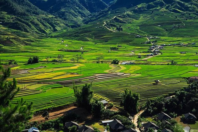Sapa 3 Days 2 Nights Trekking Tour (1 Night In Ta Van Village, 1 Night In Hotel) - Day 2: Y Linh Ho’s 12 km Walk and Your Ta Van Homestay Night